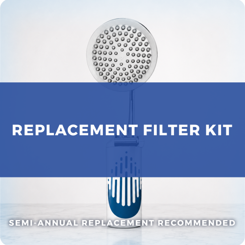 Bioshower Replacement Filter