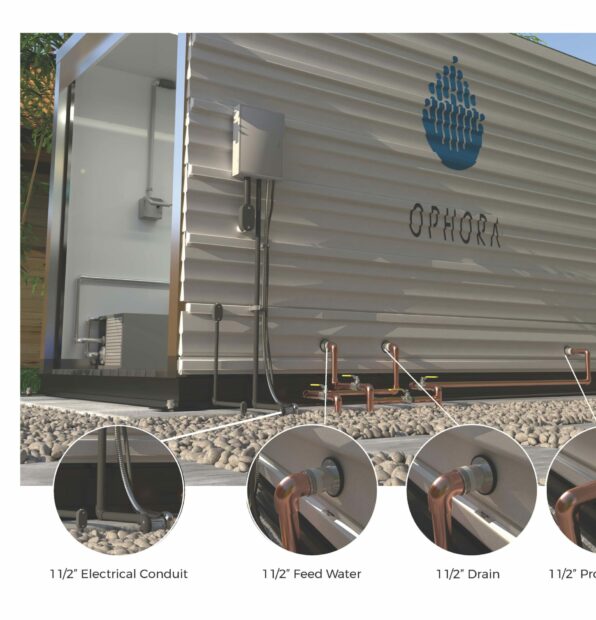 Ultra Ophora Page Scaled Ultra Ophora Page Scaled