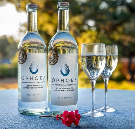 Brand Guide Ophora Water